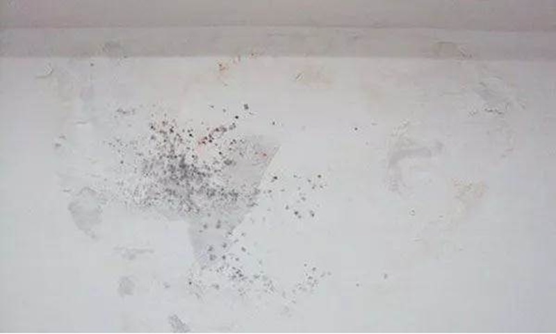 Ổn định trong môi trường ẩm và thay đổi nhiệt độ