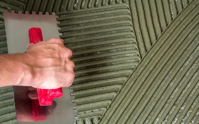 Độ biến dạng S1 - S2